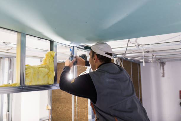 Best Insulation for Existing Homes  in USA